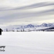 Explore Alaska in 30F below free camping